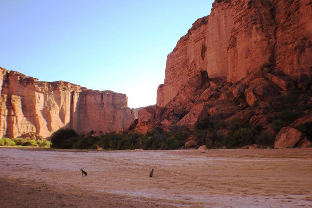 Parque Nacional Talampaya