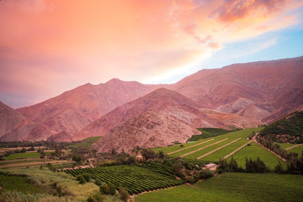Valle del Elqui