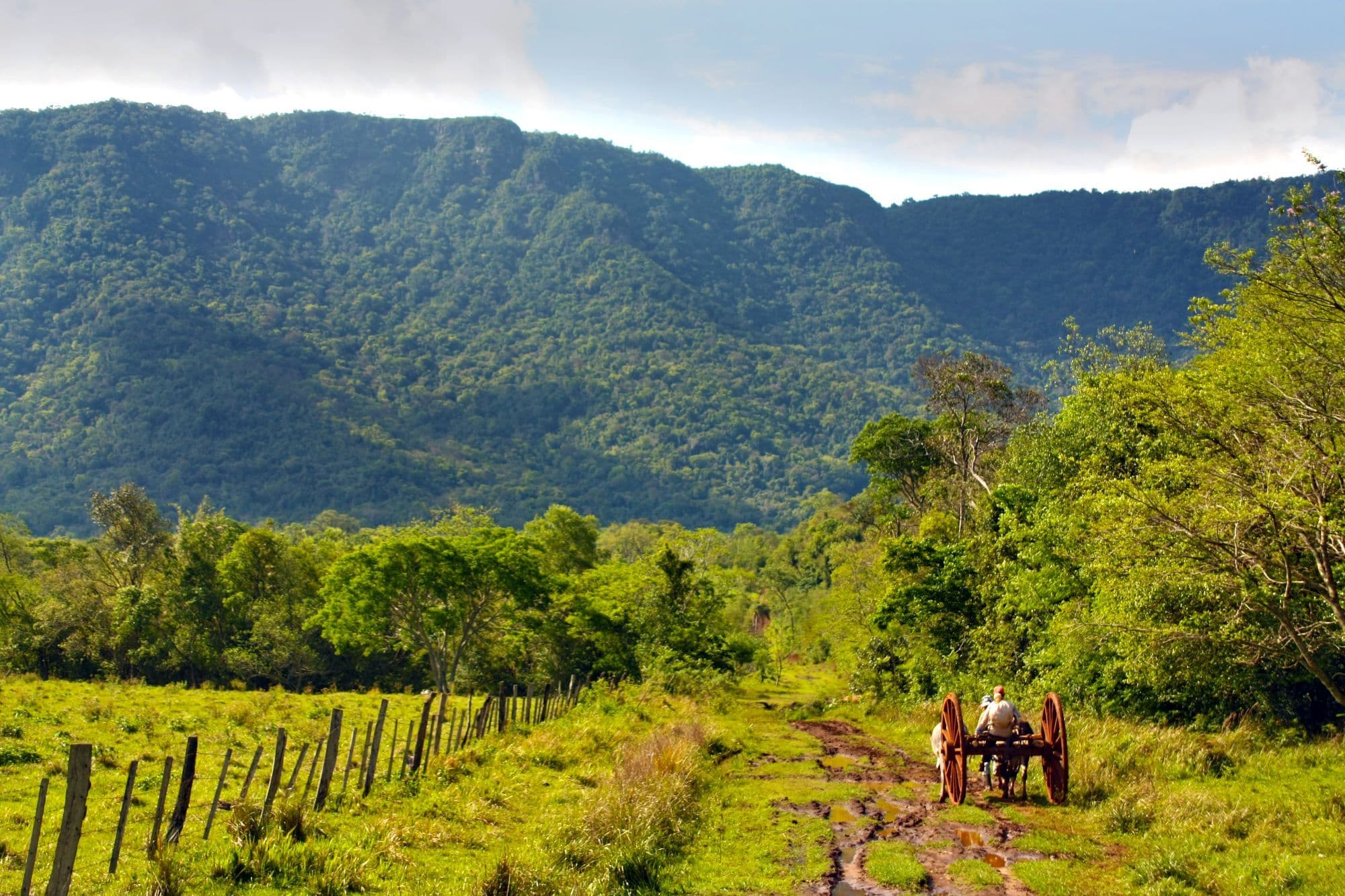Naturaleza Pura S.A.- Acceso Al Cerro Tres Kandu y Puntos Turísticos- DPTO Del Guairá