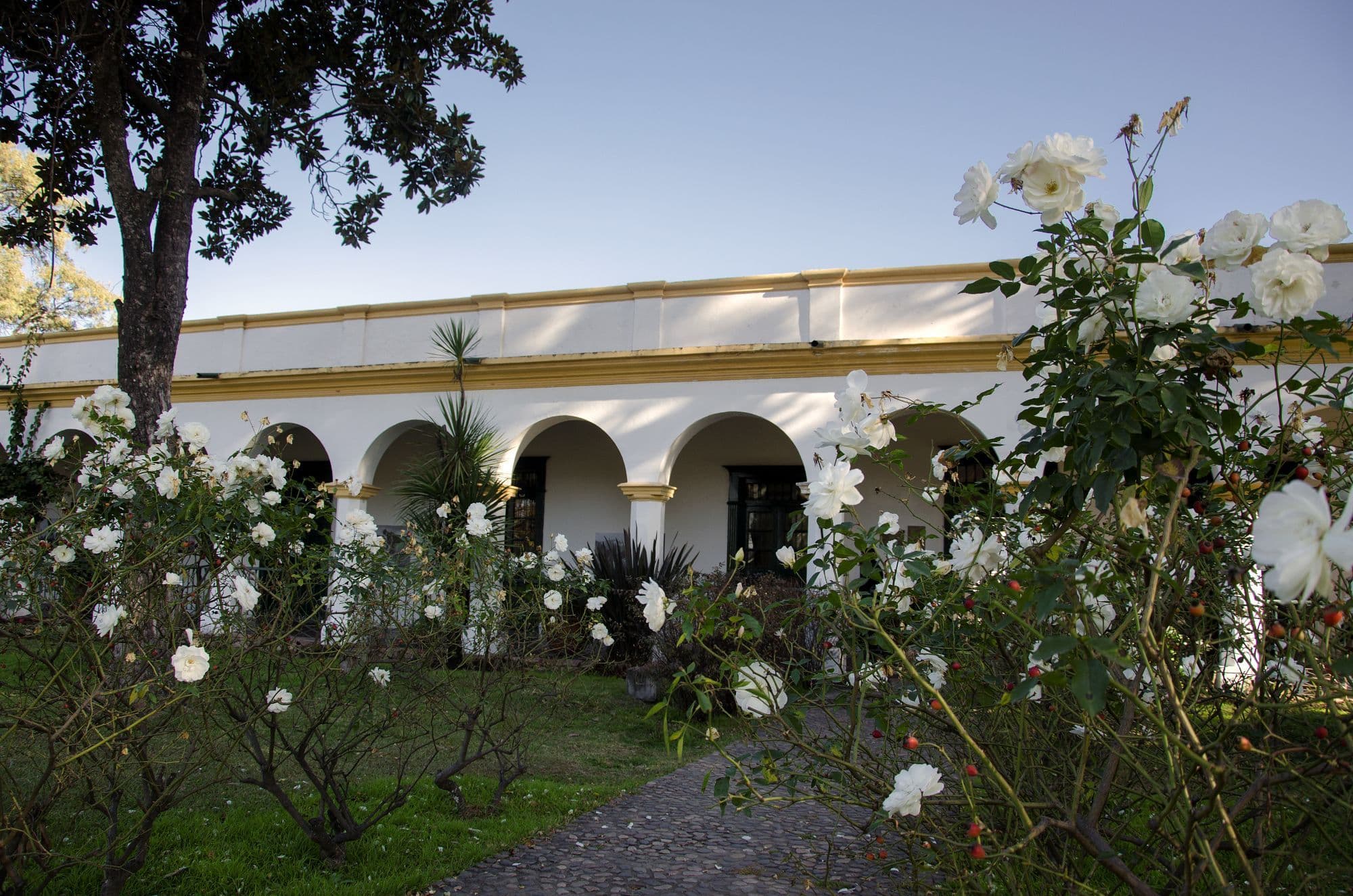 Mercado Artesanal
