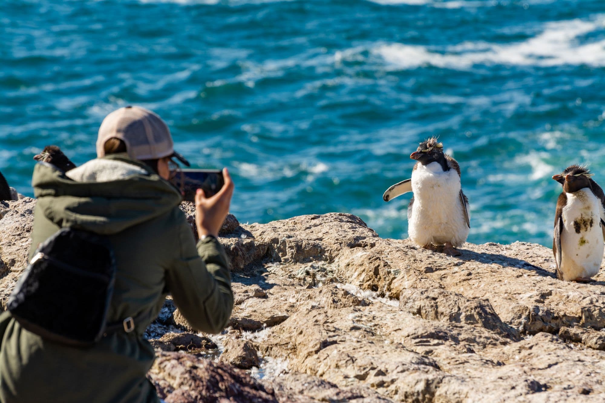 Puerto Deseado e Isla Pingüino