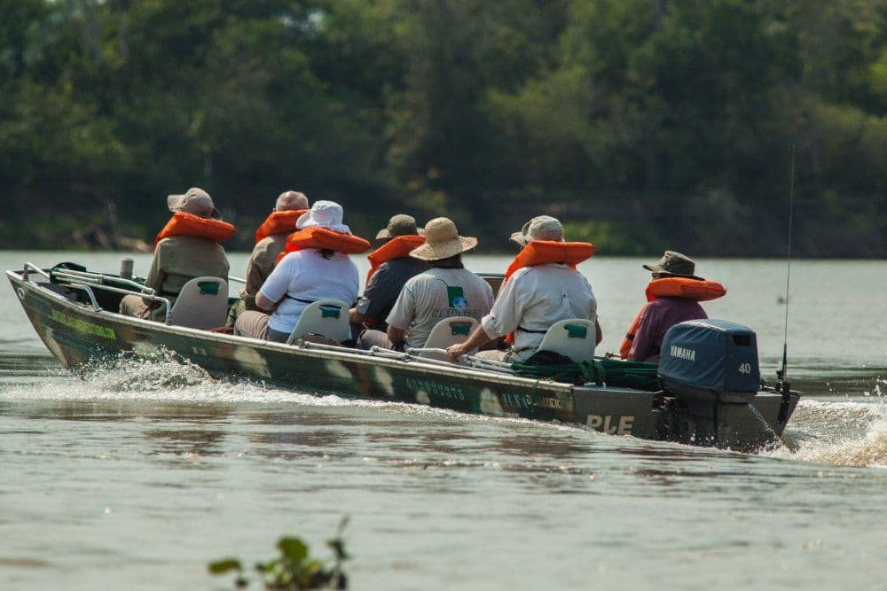 Pantanal Sur