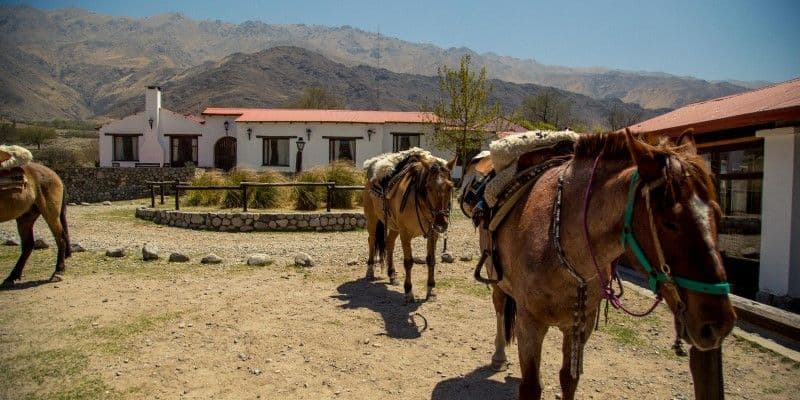 Estancias Tafí del Valle
