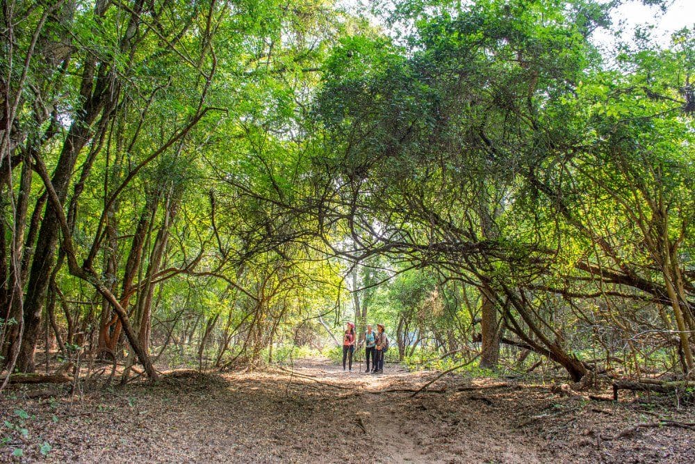 Parque Nacional El Rey