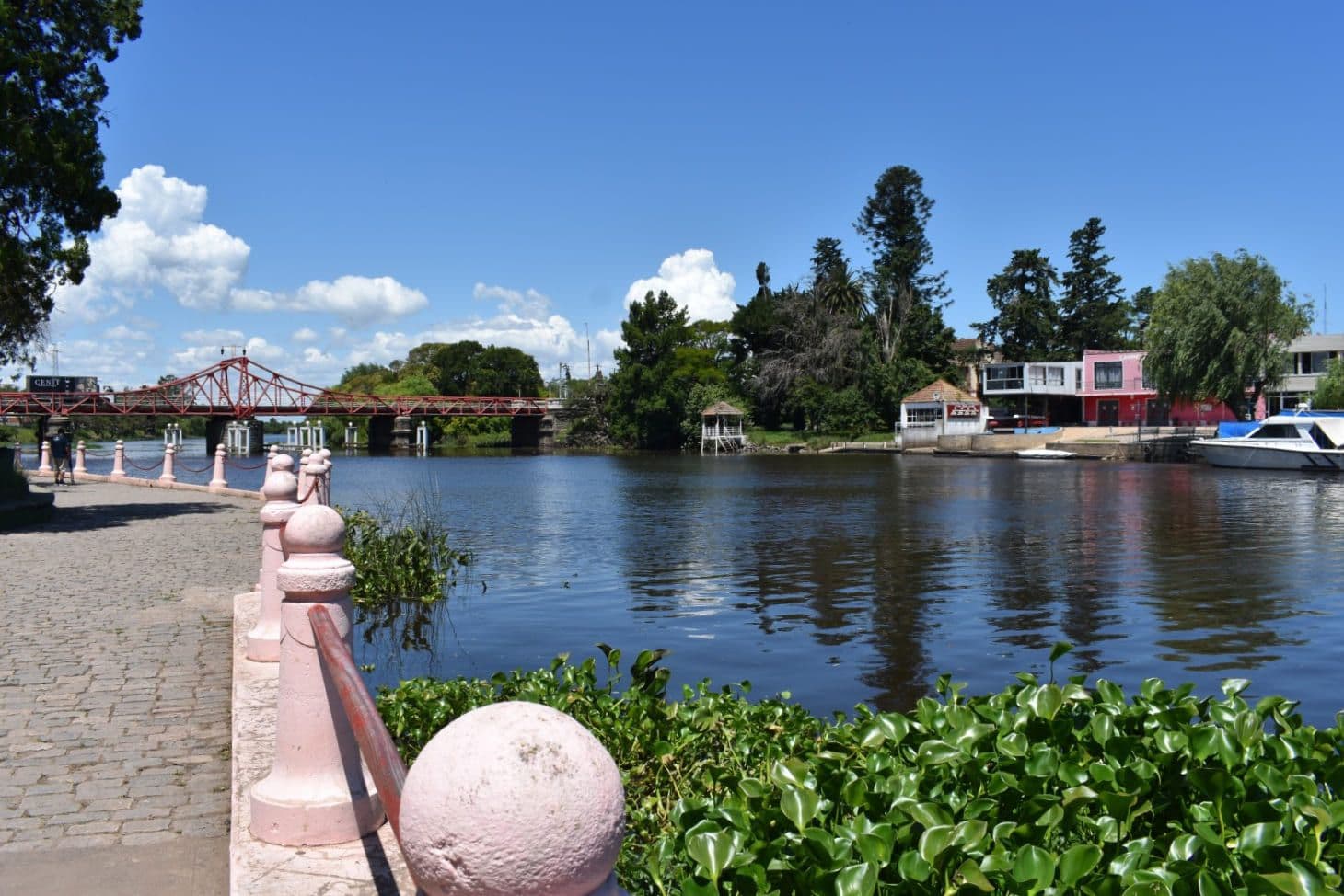 Colonia: donde todo comenzó