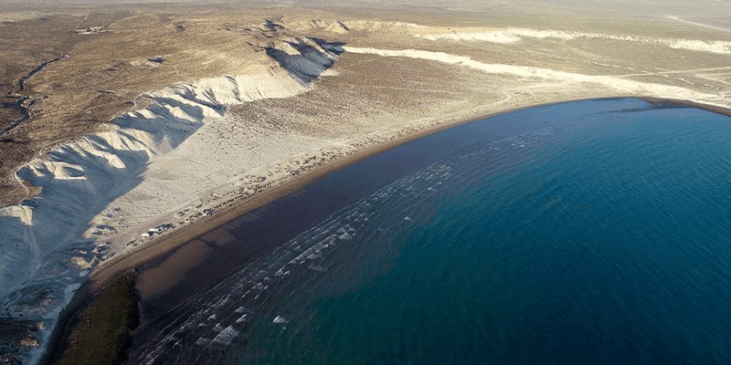 Puerto Madryn y alrededores