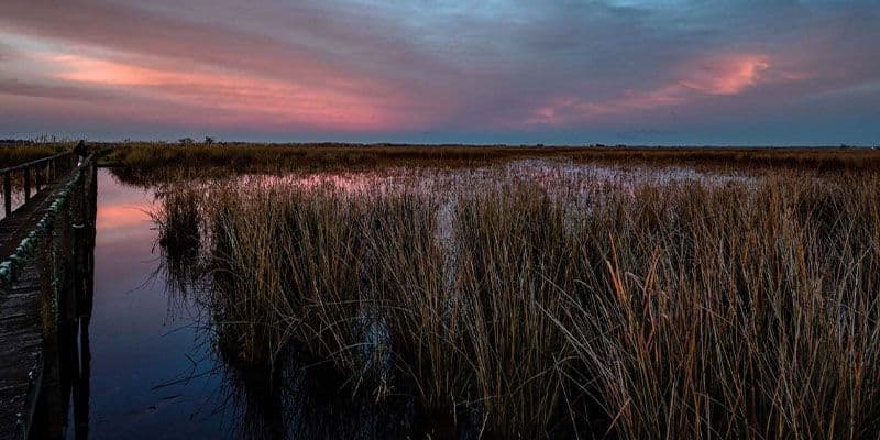 Parque Nacional Ciervo de los Pantanos