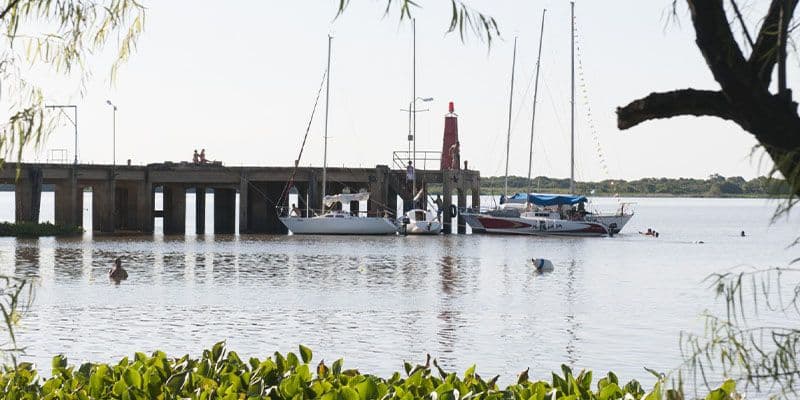Esteros de Farrapos e Islas del Río Uruguay