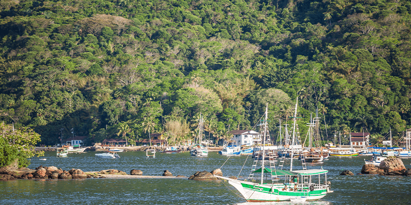Isla Grande y Paraty
