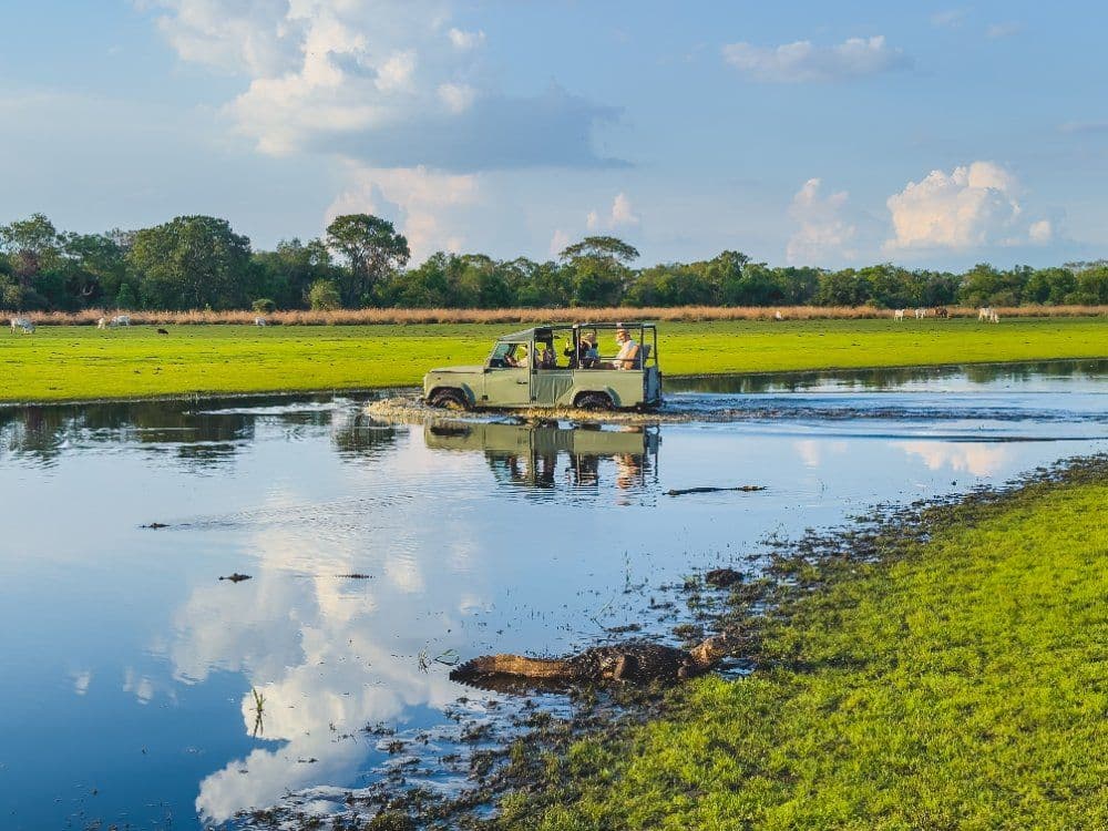 Mato Grosso do Sul
