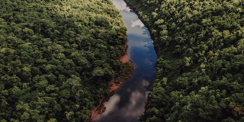 Reserva de Biósfera Yabotí y Parque Provincial Moconá