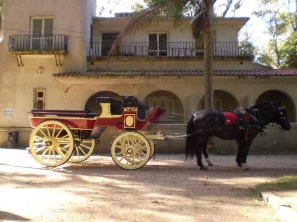 Museo Fernando García