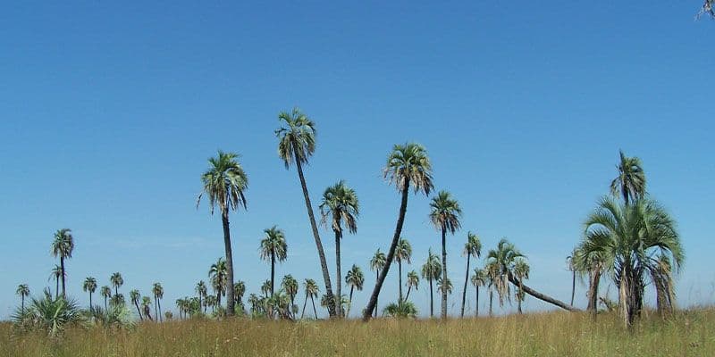 Parque Nacional Mburucuyá