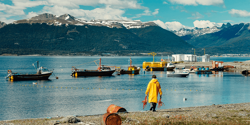 Canal Beagle y Puerto Almanza