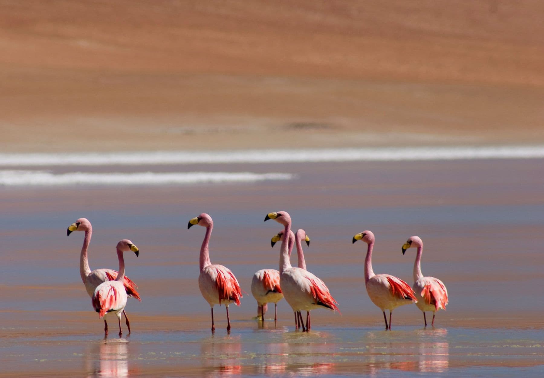 Monumento Natural Laguna de los Pozuelos