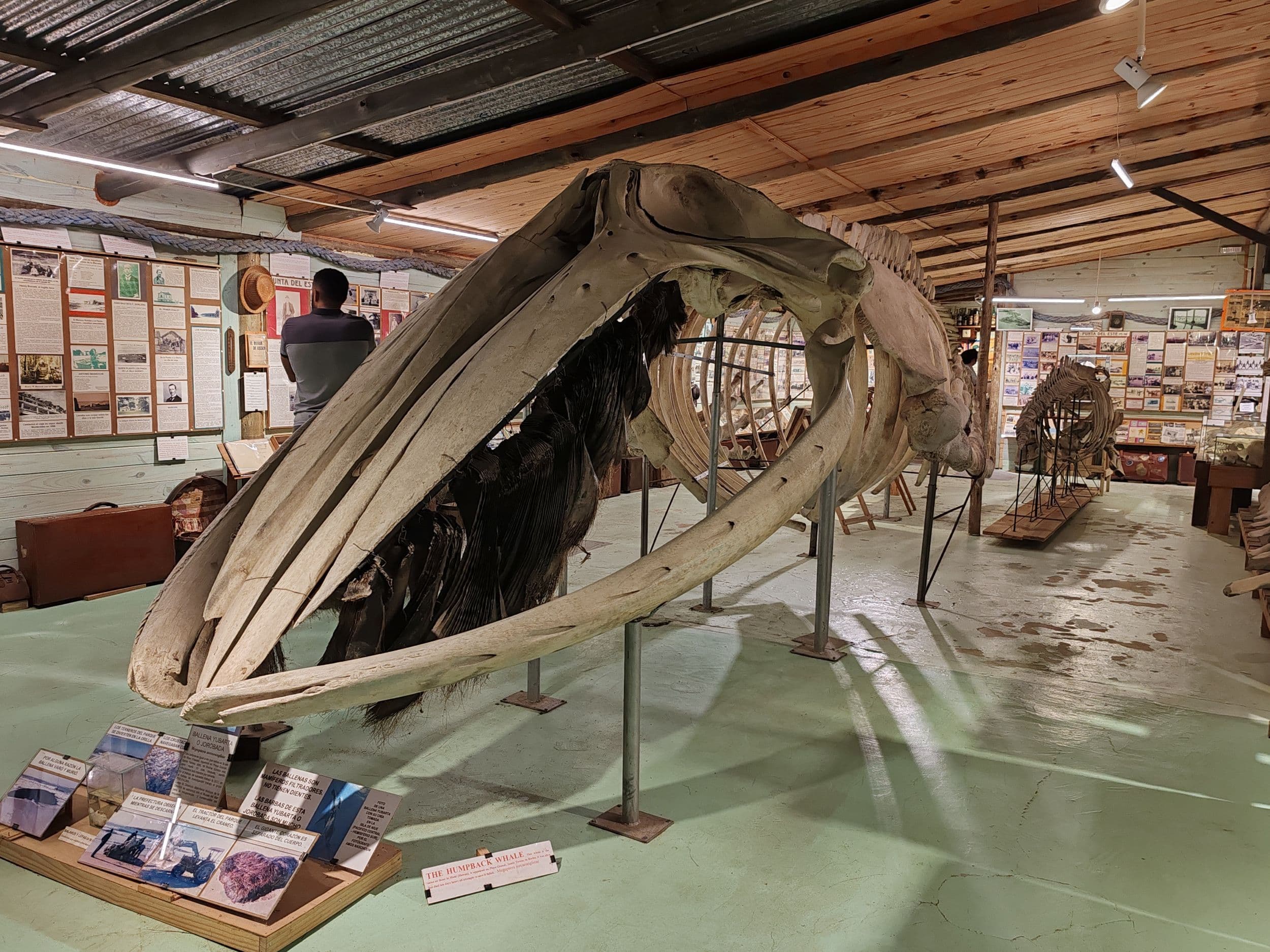 Museo del Mar