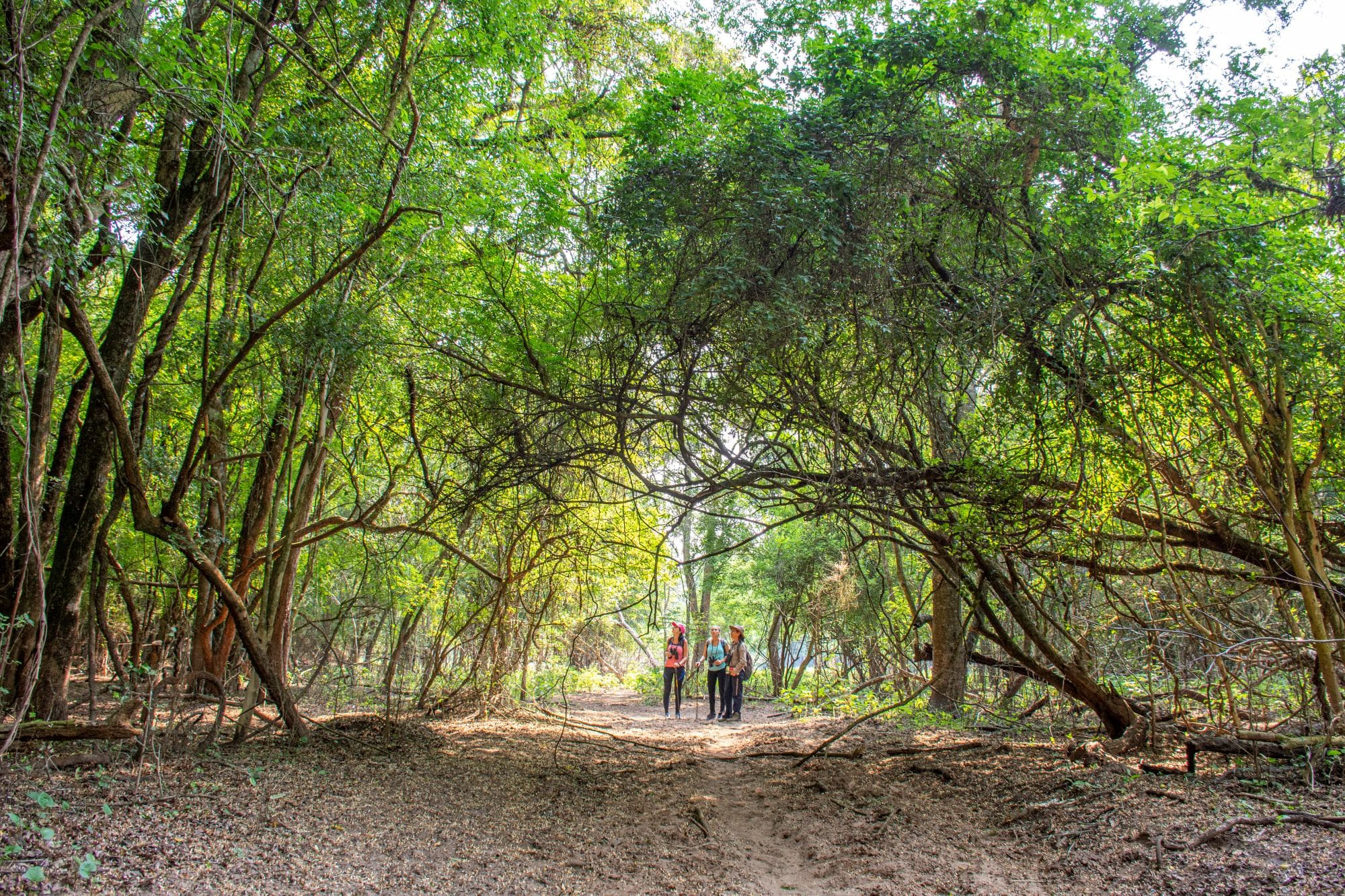 Parque Nacional El Rey