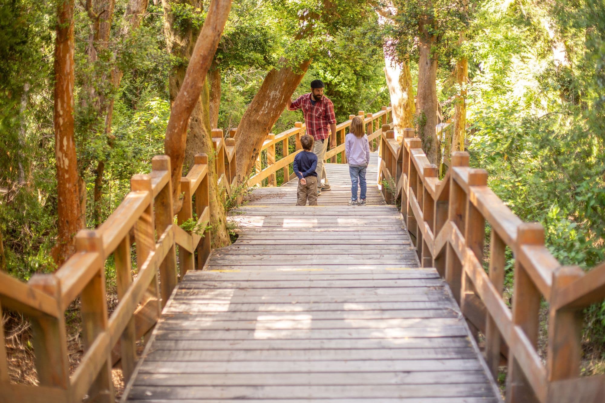 Parque Nacional Los Arrayanes