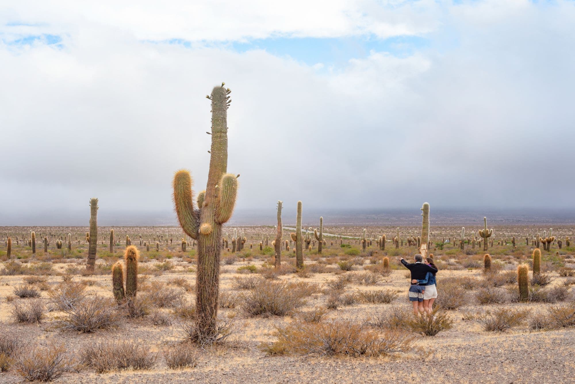 Parque Nacional Los Cardones
