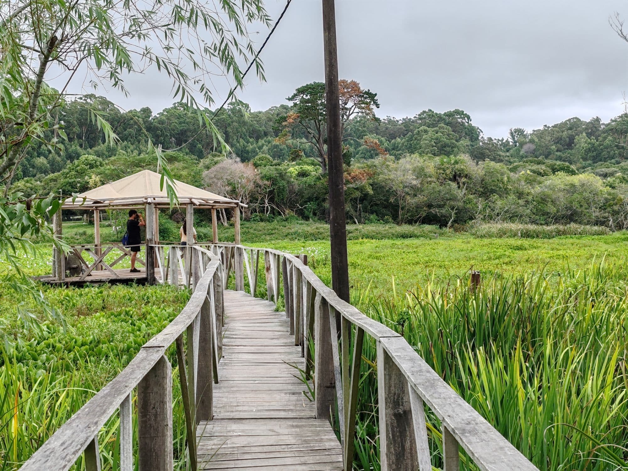 Parque Nacional Santa Teresa