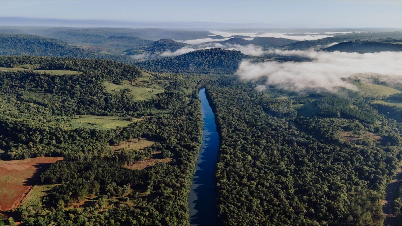 Reserva de Biósfera Yabotí y Parque Provincial Moconá. Sumergite en la selva misionera y explora un paraíso que alberga una biodiversidad única