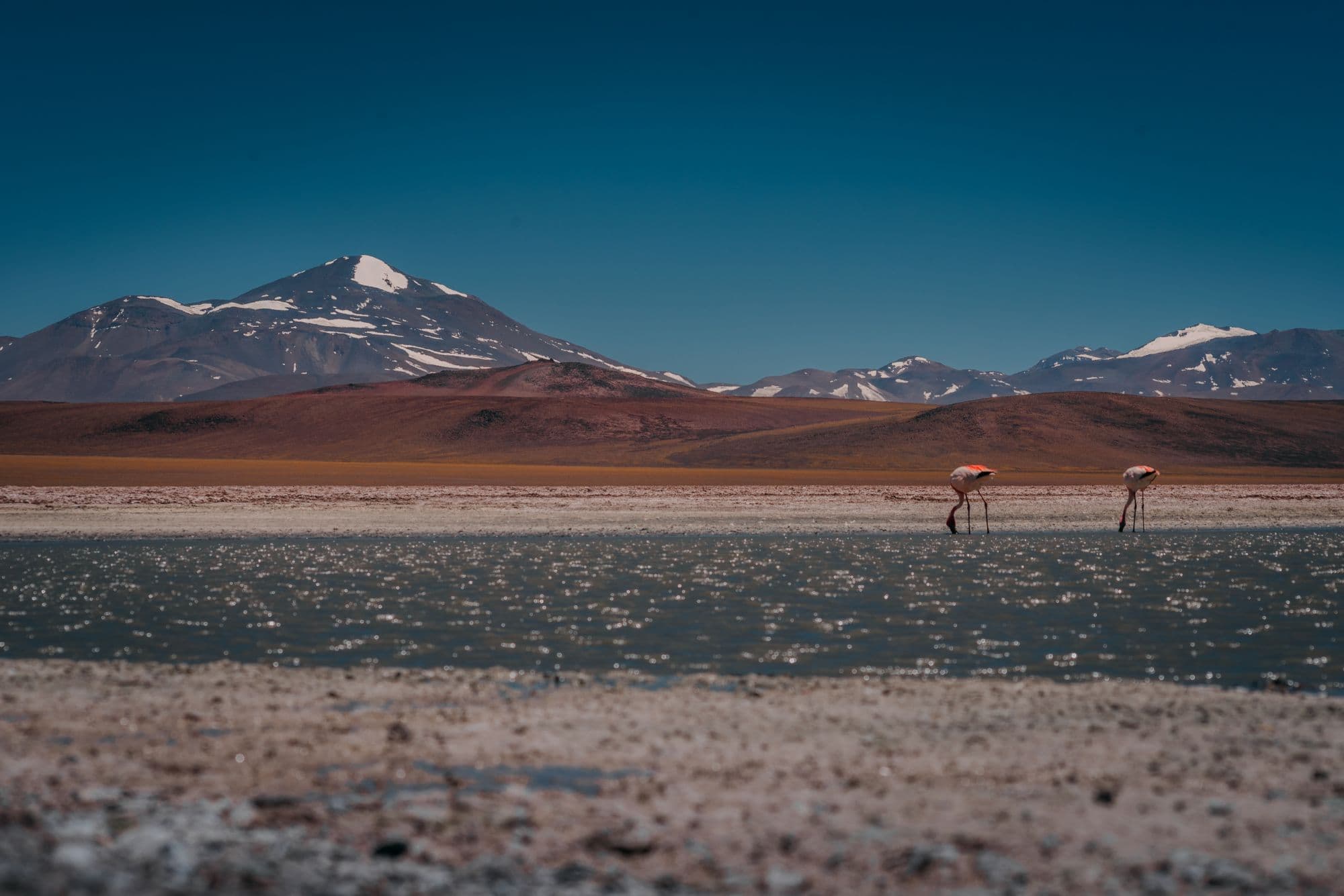 Reserva Provincial Laguna Brava