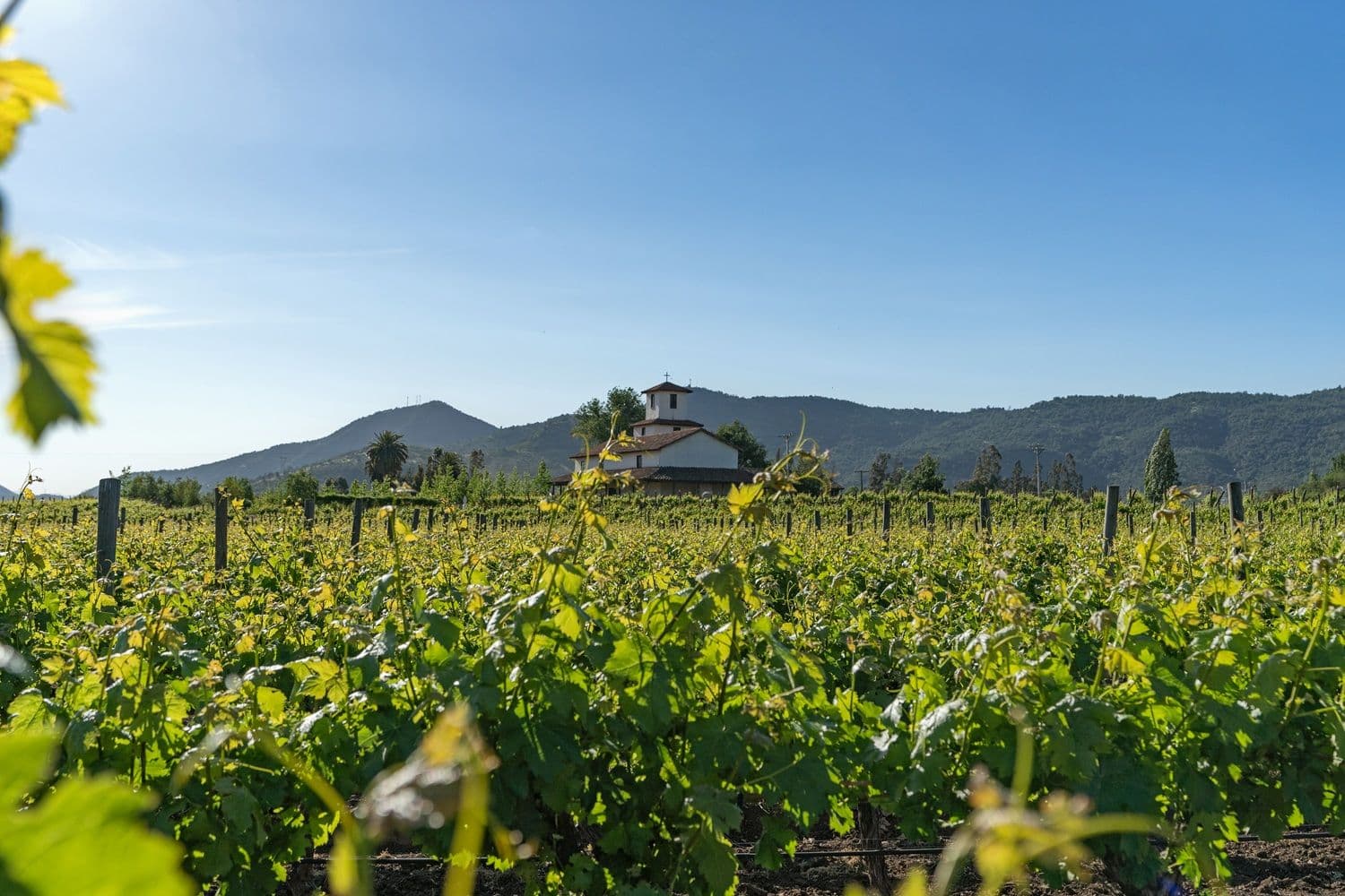 Valle del Cachapoal